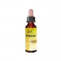 Rescue remedy 20ml Bach Rescue remedy 20ml Bach