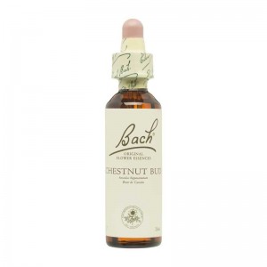 Flor nº 7 Brote de castaño (chestnut bud) 20ml Bach Flor nº 7 Brote de castaño (chestnut bud) 20ml Bach