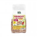 Muesli de avena con frutos del bosque sin gluten 425g Sol Natural