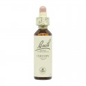 Flor nº 7 Brote de castaño (chestnut bud) 20ml Bach Flor nº 7 Brote de castaño (chestnut bud) 20ml Bach