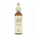 Flor nº 11 Olmo (elm) 20ml Bach Flor nº 11 Olmo (elm) 20ml Bach