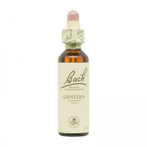 Flor nº 12 Genciana (gentian) 20ml Bach Flor nº 12 Genciana (gentian) 20ml Bach