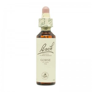 Flor nº 13 Aulaga (gorse) 20ml Bach Flor nº 13 Aulaga (gorse) 20ml Bach