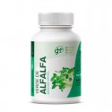 Te verde 700mg 100 comprimidos GHF Te verde 700mg 100 comprimidos GHF