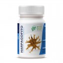 Fucus 500mg 100 comprimidos GHF