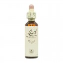 Flor nº 14 Brezo (heather) 20ml Bach