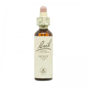 Flor nº 15 Acebo (holly) 20ml Bach Flor nº 15 Acebo (holly) 20ml Bach