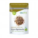 Hemp protein/proteina de cañamo polvo superfoods bio 300g Biotona