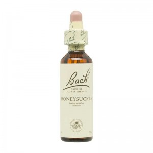 Flor nº 16 Madreselva (honeysuckle) 20ml Bach Flor nº 16 Madreselva (honeysuckle) 20ml Bach