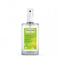 Desodorante de salvia spray 100ml Weleda Desodorante de salvia spray 100ml Weleda