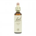 Flor nº 20 Mimulo (mimulus) 20ml Bach Flor nº 20 Mimulo (mimulus) 20ml Bach