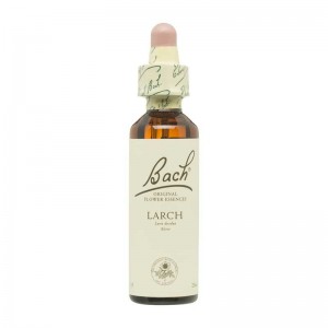 Flor nº 19 Alerce (larch) 20ml Bach Flor nº 19 Alerce (larch) 20ml Bach