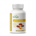 Reishi 500mg 90 capsulas Sotya Reishi 500mg 90 capsulas Sotya
