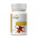 Fucus 500 mg 100 comprimidos Sotya
