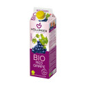 Zumo de Mango Bio 1L Hollinger Zumo de Mango Bio 1L Hollinger