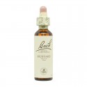 Flor nº 20 Mimulo (mimulus) 20ml Bach Flor nº 20 Mimulo (mimulus) 20ml Bach