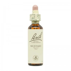 Flor nº 21 Mostaza (mustard) 20ml Bach Flor nº 21 Mostaza (mustard) 20ml Bach