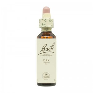 Flor nº 22 Roble (oak) 20ml Bach Flor nº 22 Roble (oak) 20ml Bach
