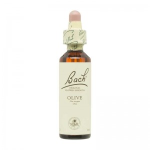Flor nº 23 Olivo (olive) 20ml Bach Flor nº 23 Olivo (olive) 20ml Bach