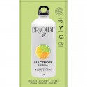 Bebida Soluble Limon 15x9g Bragulat Bebida Soluble Limon 15x9g Bragulat