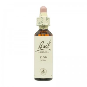 Flor nº 24 Pino silvestre (pine) 20ml Bach Flor nº 24 Pino silvestre (pine) 20ml Bach