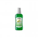 Enjuague bucal menta y solidago Bio 250ml La Saponaria Enjuague bucal menta y solidago Bio 250ml La Saponaria