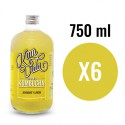 Kombucha Frutos Rojos (Berryvida) Bio 6x750ml Komvida