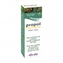 Holopai 13 (Antibiotico-Antiinfeccioso) 31ml Equisalud Holopai 13 (Antibiotico-Antiinfeccioso) 31ml Equisalud