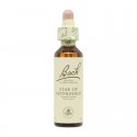 Flor nº 28 Escleranto (scleranthus) 20ml Bach Flor nº 28 Escleranto (scleranthus) 20ml Bach