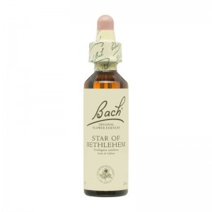 Flor nº 29 Leche de gallina (Star of Bethlehem) 20ml Bach Flor nº 29 Leche de gallina (Star of Bethlehem) 20ml Bach