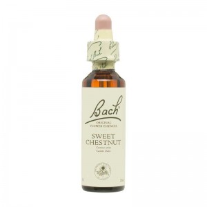 Flor nº 30 Castaño dulce (sweet chestnut) 20ml Bach Flor nº 30 Castaño dulce (sweet chestnut) 20ml Bach