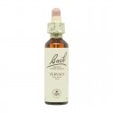 Flor nº 32 Vid (vine) 20ml Bach Flor nº 32 Vid (vine) 20ml Bach