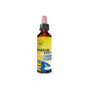 Rescue Plus Vitaminas 20ml Bach Rescue Plus Vitaminas 20ml Bach
