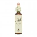 Flor nº 32 Vid (vine) 20ml Bach Flor nº 32 Vid (vine) 20ml Bach