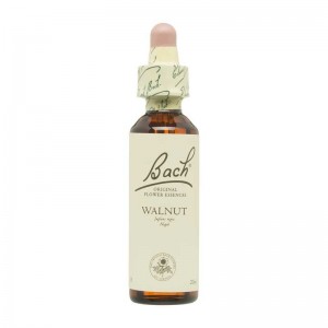 Flor nº 33 Nogal (walnut) 20ml Bach Flor nº 33 Nogal (walnut) 20ml Bach
