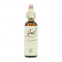 Flor nº 33 Nogal (walnut) 20ml Bach
