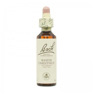 Flor nº 35 Castaño de indias (white chestnut) 20ml Bach