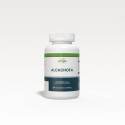 Ginkgo biloba 700mg 100 comprimidos Sotya Ginkgo biloba 700mg 100 comprimidos Sotya