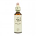 Flor nº 35 Castaño de indias (white chestnut) 20ml Bach