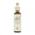 Flor nº 38 Sauce (willow) 20ml Bach Flor nº 38 Sauce (willow) 20ml Bach