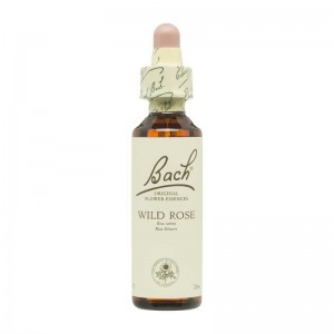 Flor nº 37 Rosa silvestre (wild rose) 20ml Bach