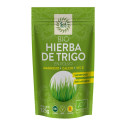 Ginger/jengibre en polvo superfood bio 200g Biotona
