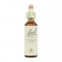 Flor nº 3 Haya (beech) 20ml Bach Flor nº 3 Haya (beech) 20ml Bach