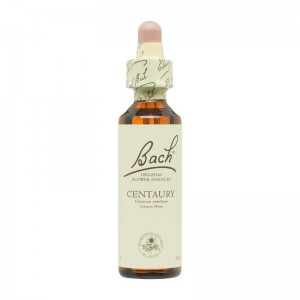 Flor nº 4 Centaura menor (centaury) 20ml Bach Flor nº 4 Centaura menor (centaury) 20ml Bach