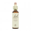 Flor nº 4 Centaura menor (centaury) 20ml Bach Flor nº 4 Centaura menor (centaury) 20ml Bach