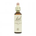 Flor nº 7 Brote de castaño (chestnut bud) 20ml Bach Flor nº 7 Brote de castaño (chestnut bud) 20ml Bach