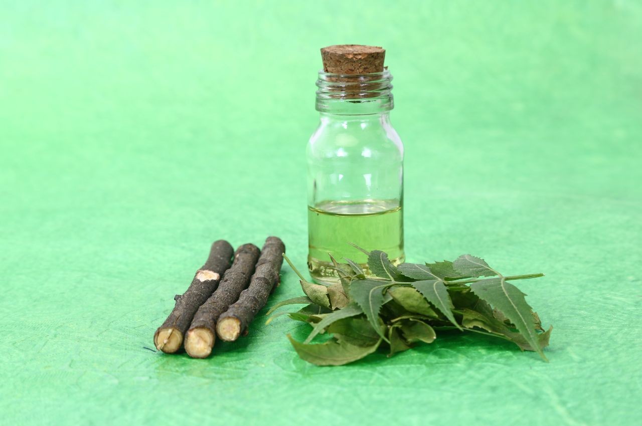 Aceite de Nim (Neem) 100 gramos