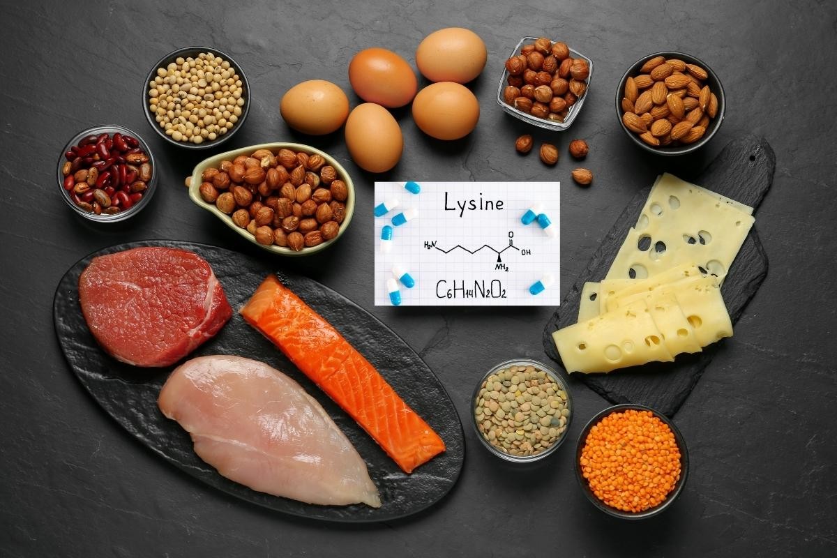 Lisina, ¿Para Que Sirve? El aminoácido esencial para la salud y el rendimiento deportivo