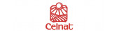 Celnat