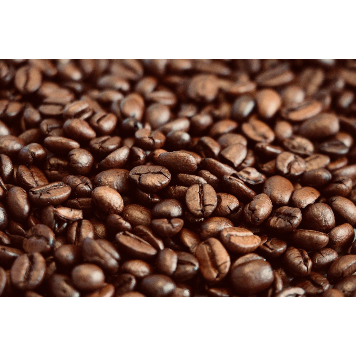 Cafe Especilidad origen Peru Laguna Bio 250g Alternativa 3